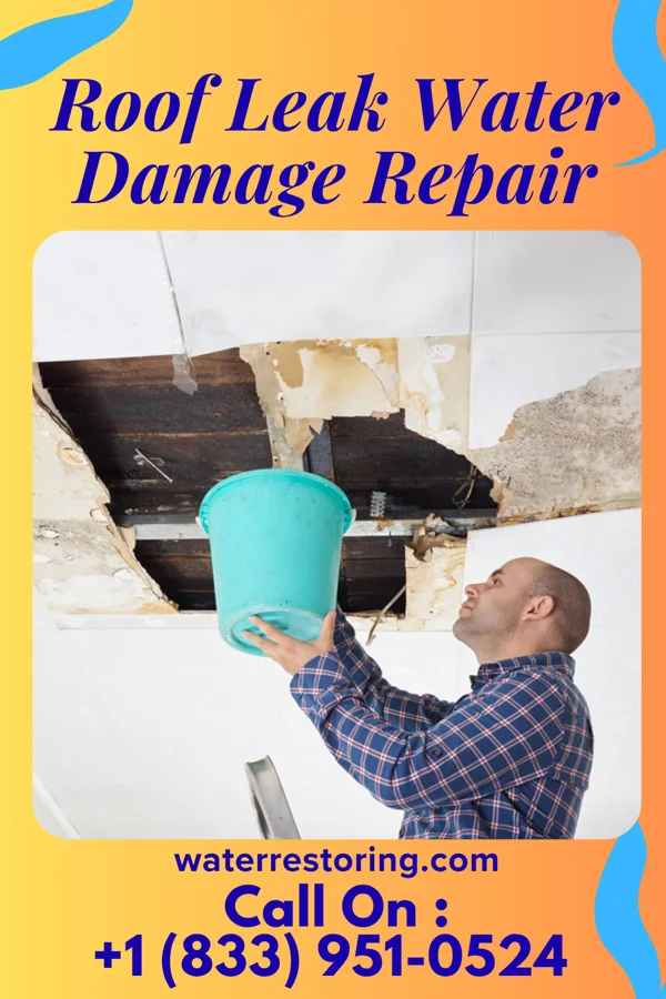 Roof Leak Water Damage Repair in Henry, SD